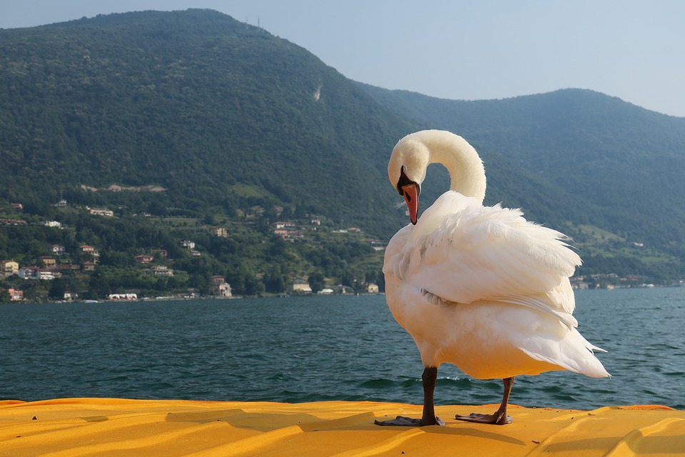 lago di iseo لاجو دي ايسو